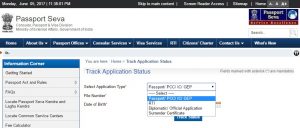 how to check passport status by name