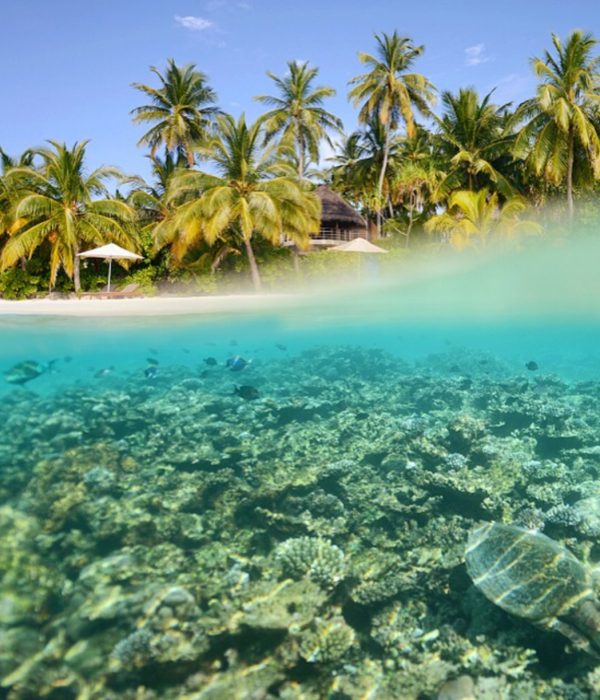Coral Reef